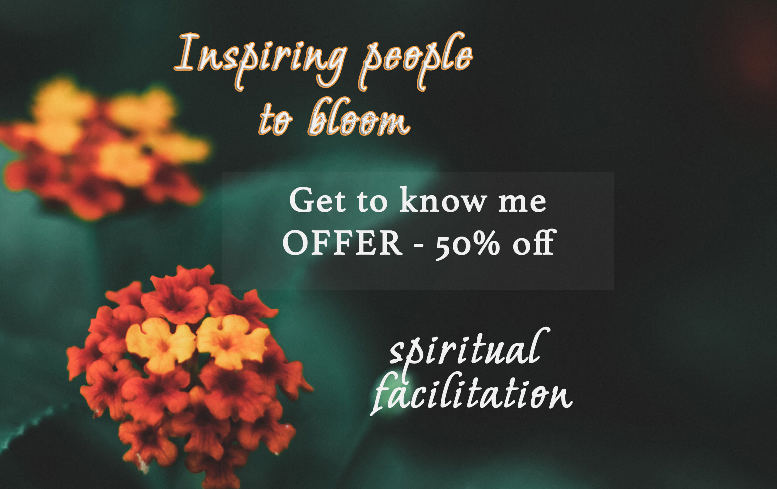 Get to know me – OFFER – 50% off on your first online session